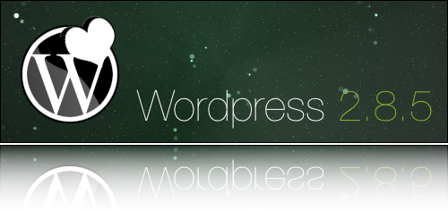 Worpress 2.8.5